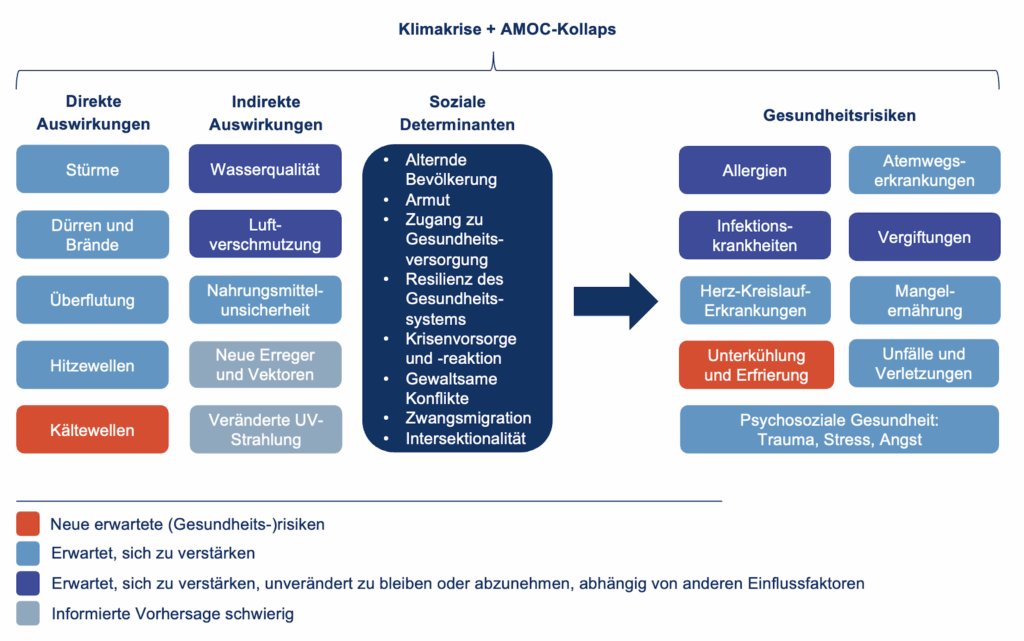 In einem Schaubild, dass sich an den gesundheitlichen Folgen der Klimakrise der WHO orientiert, werden die gesundheitlichen Folgen eines AMOC Kollaps dargestellt. Dabei gibt es neue gesundheitliche Folgen, wie Kältewellen und Erfrierungen. Gleichzeitig schwächen sich andere Effekte, wie die Ausbreitung von Tropenkrankheiten ab. 