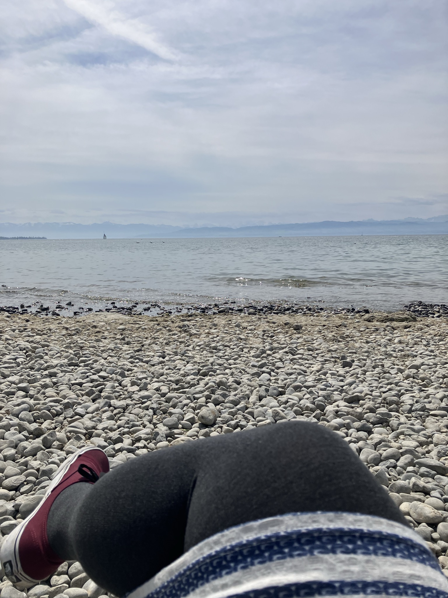 03/2026 Newsletter Temperatur und Taktik